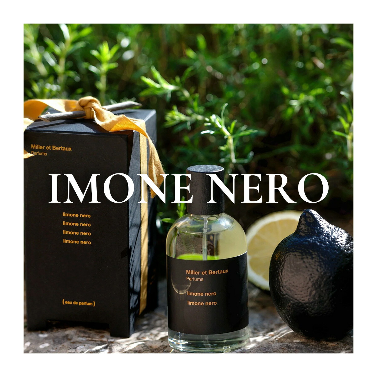 楽天市場】Miller et Bertaux 【オードパルファンお試しサイズ2ml