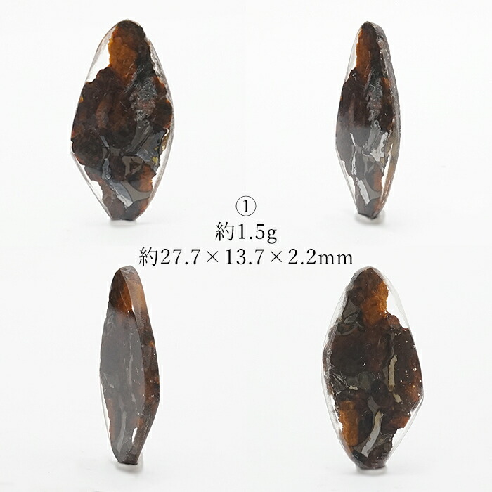 一点物】 セリコ隕石 ケニア産 パラサイト Serico meteorite Parasite