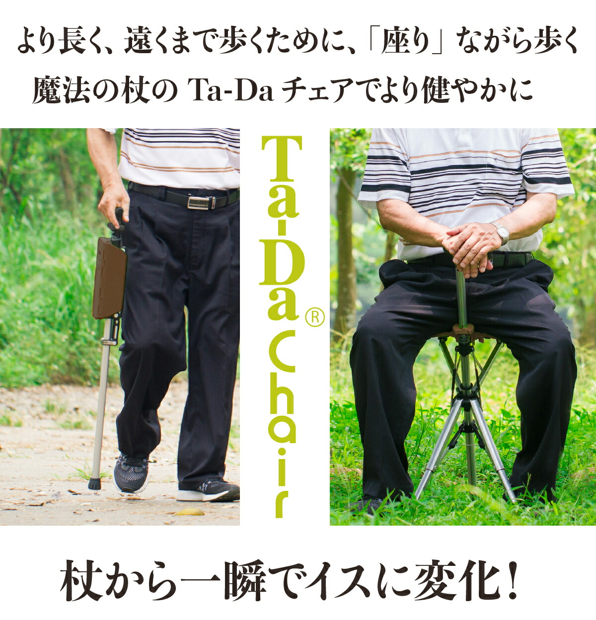 楽天市場】ステッキチェア【Ta-Da Chair ターダ チェア】椅子になる杖