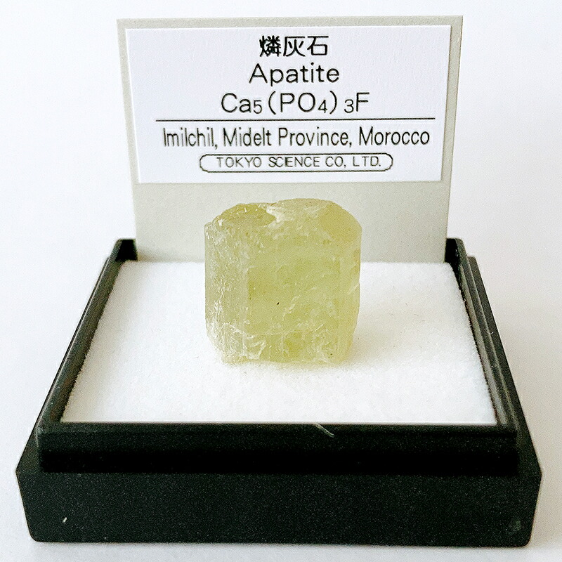 楽天市場】砂金（オーストラリア） 鉱物 標本 東京サイエンス ミニ鉱物