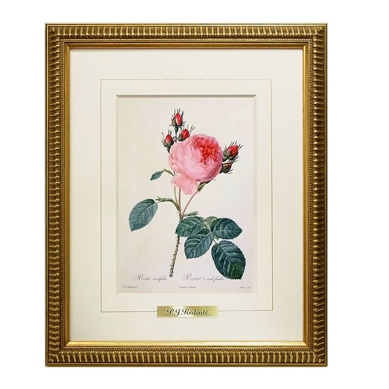 楽天市場】【スーパーセール価格】 絵画 インテリア ルドゥーテ ローズ