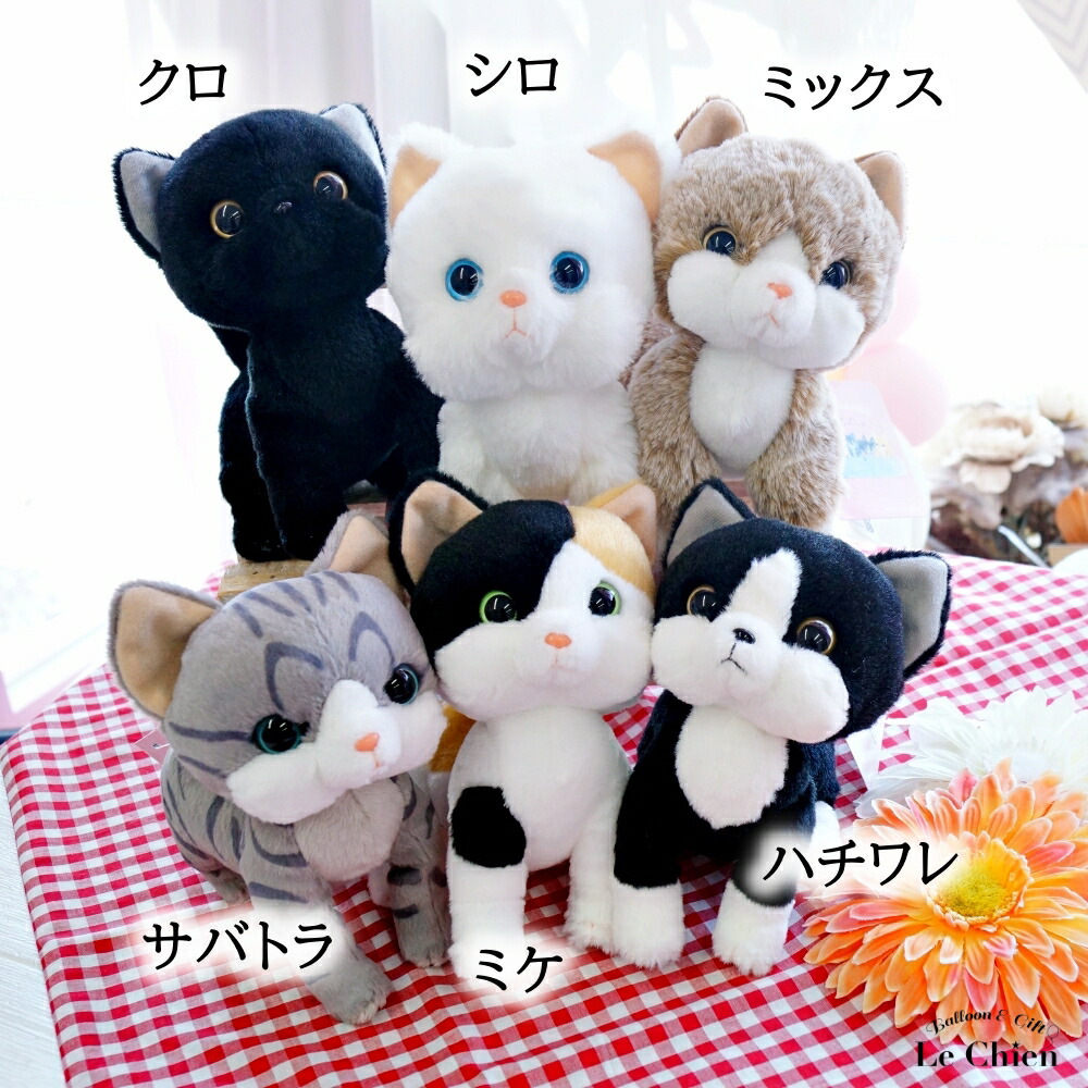 楽天市場】ぬいぐるみ 猫 アメリカンショートヘアー 小さい グレー