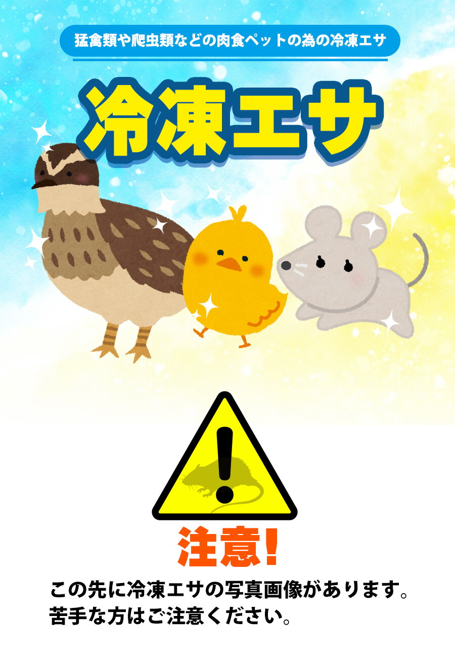 冷凍】 冷凍マウス ファジー（約6g）10匹パック（T2）【クール便発送