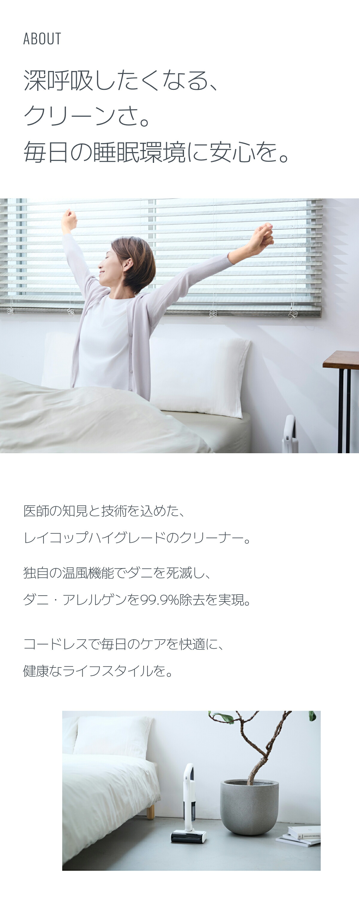 楽天市場】【温風モデル】コードレス 65度温風モデル／レイコップ 布団