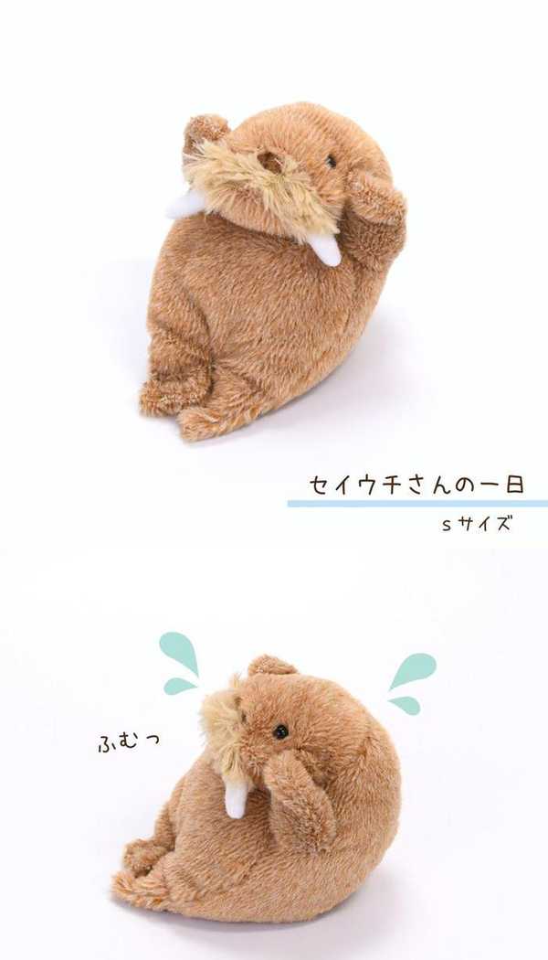 楽天市場】セイウチさんの一日 Sサイズ ぬいぐるみ | 手乗り 手のひら
