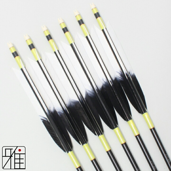 楽天市場】弓道 矢 ジュラルミン矢 6本組ターキー元黒染羽 1913