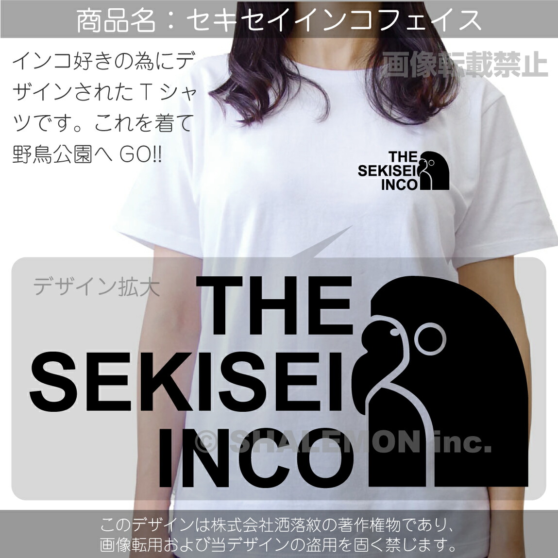 楽天市場】セキセイインコ アニマル Tシャツ ( セキセイインコ