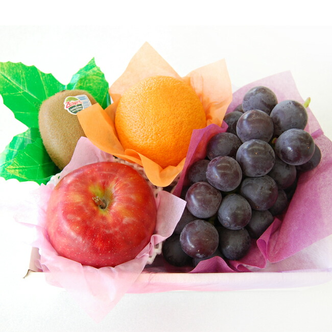 ネット本店】フルーツ季語数No.1“秋果”の季節がやってきた！｜フルーツ
