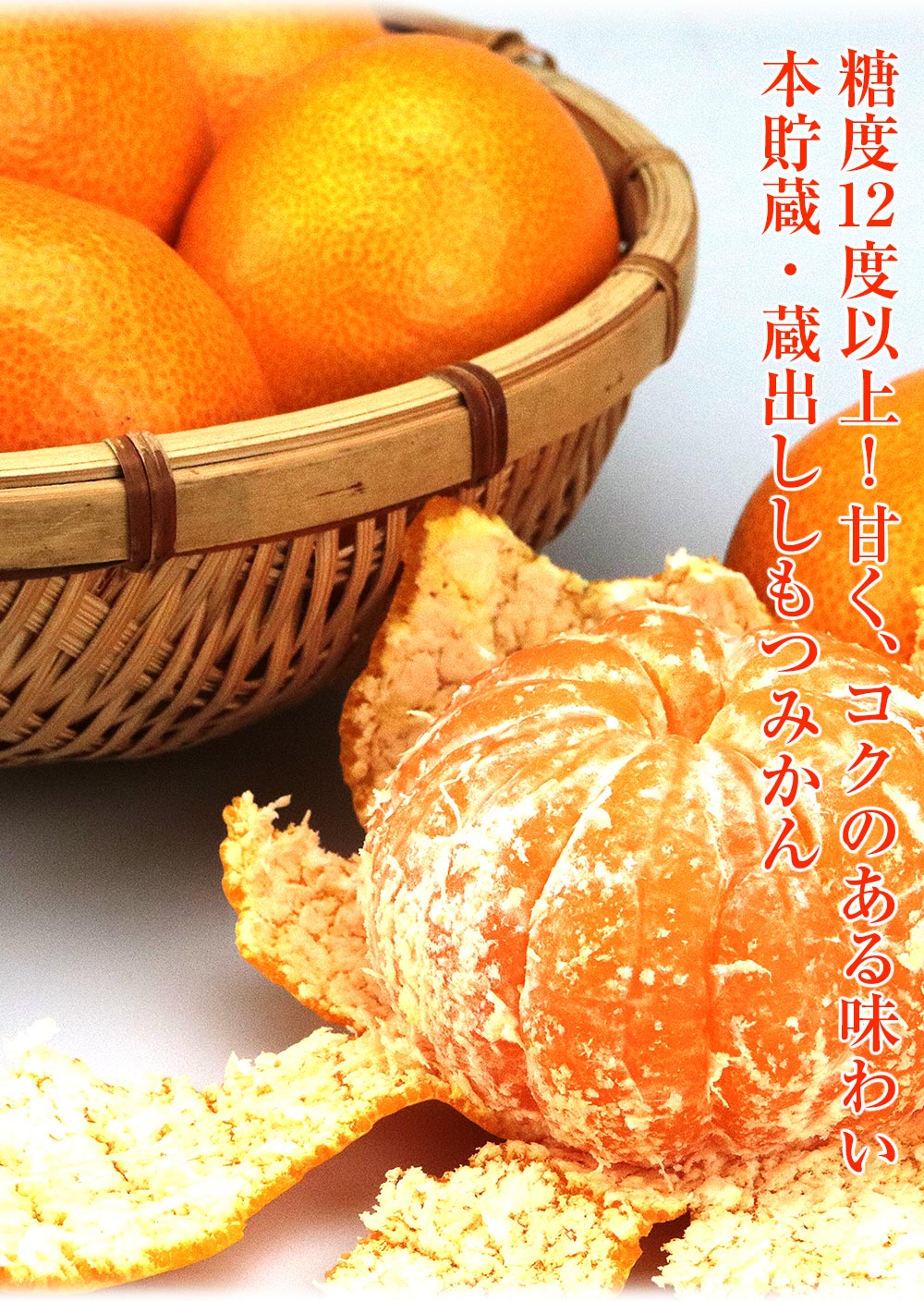 蔵出しみかん 5kg 糖度12度以上 しもつみかん 和歌山県産 秀品 37ー63