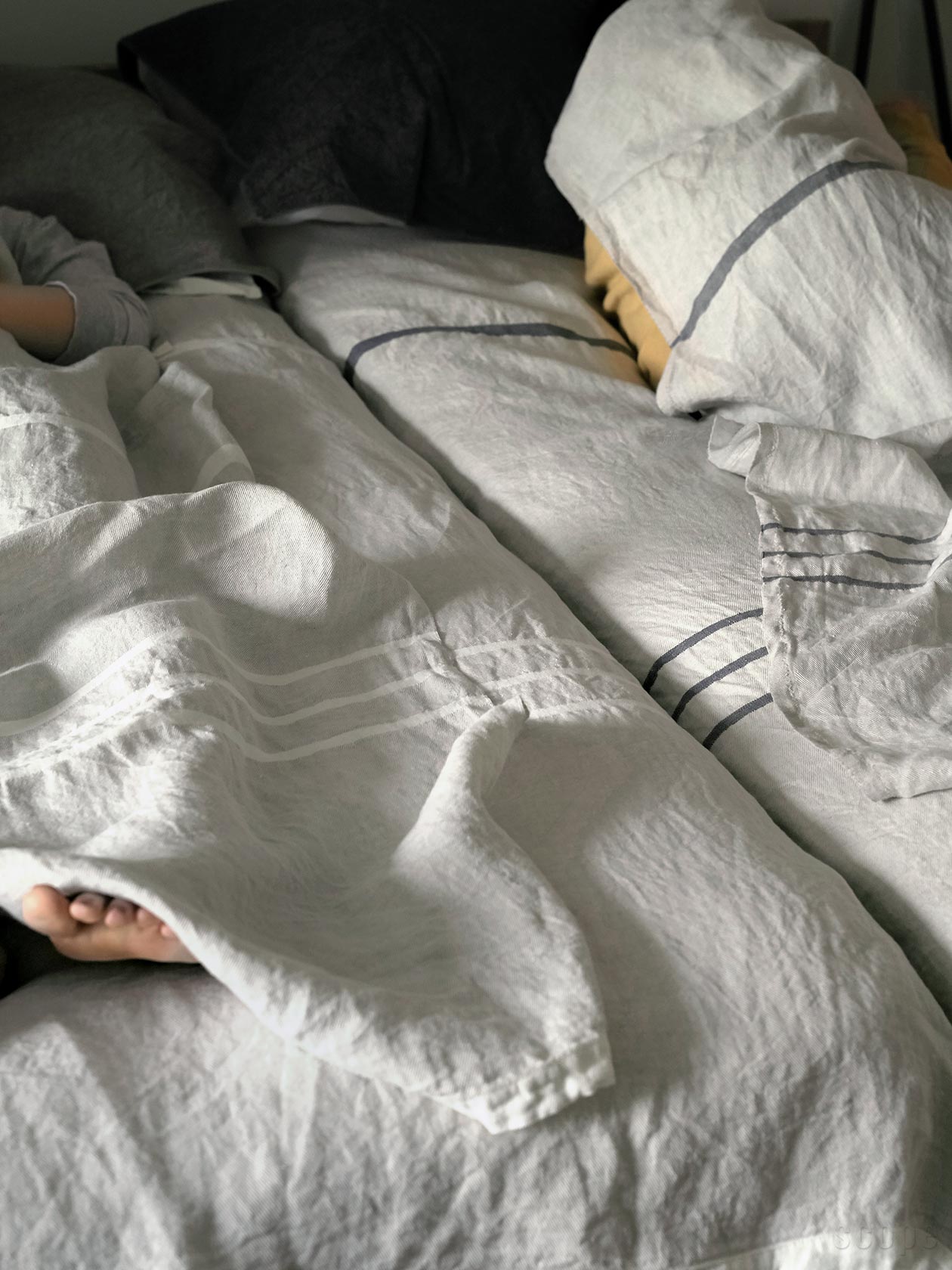 楽天市場】ラプアン カンクリ / USVA スコープ特別版 マルチユース