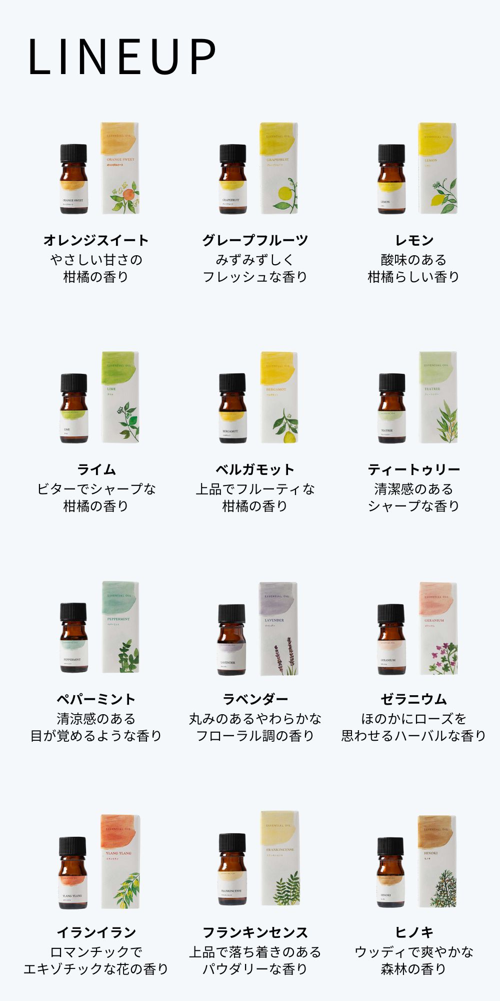 楽天市場】【 生活の木 公式 】大人気エッセンシャルオイル12本セット