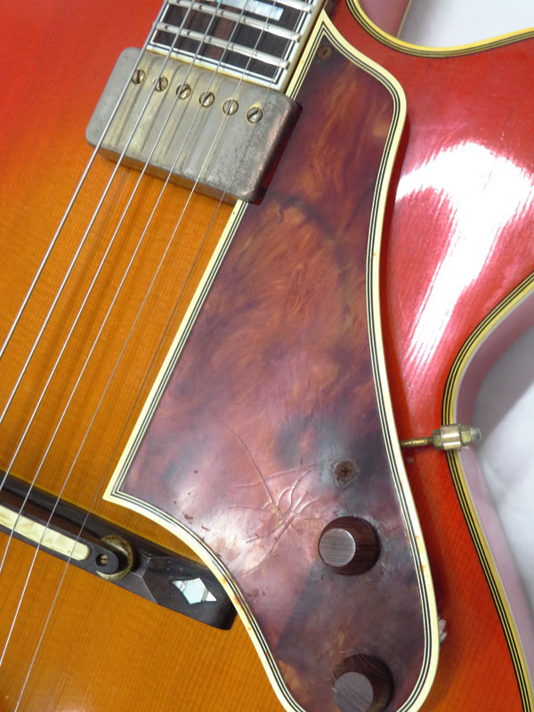 Argus】アーガス『エレキギター』DJ-23 1週間保証【中古