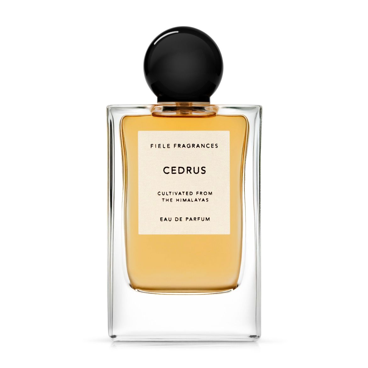 FIELE FRAGRANCES - 【残り一点】Eau De Parfum 50ml(VIOLA) | ACRMTSM