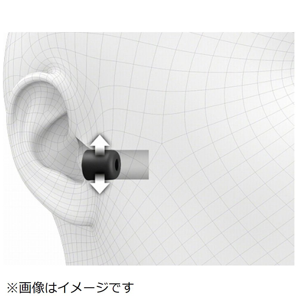 WF-1000XM5用 イヤーピース L 左右分1ペア EP-NI1010LQ｜の通販は