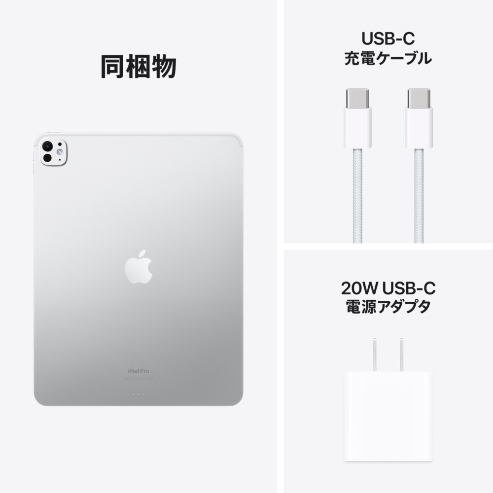 13インチiPad Pro Wi-Fiモデル 256GB（標準ガラス搭載）- シルバー