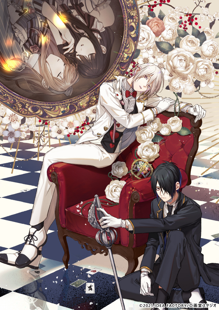 白と黒のアリス for Nintendo Switch 限定版｜の通販はソフマップ[sofmap]