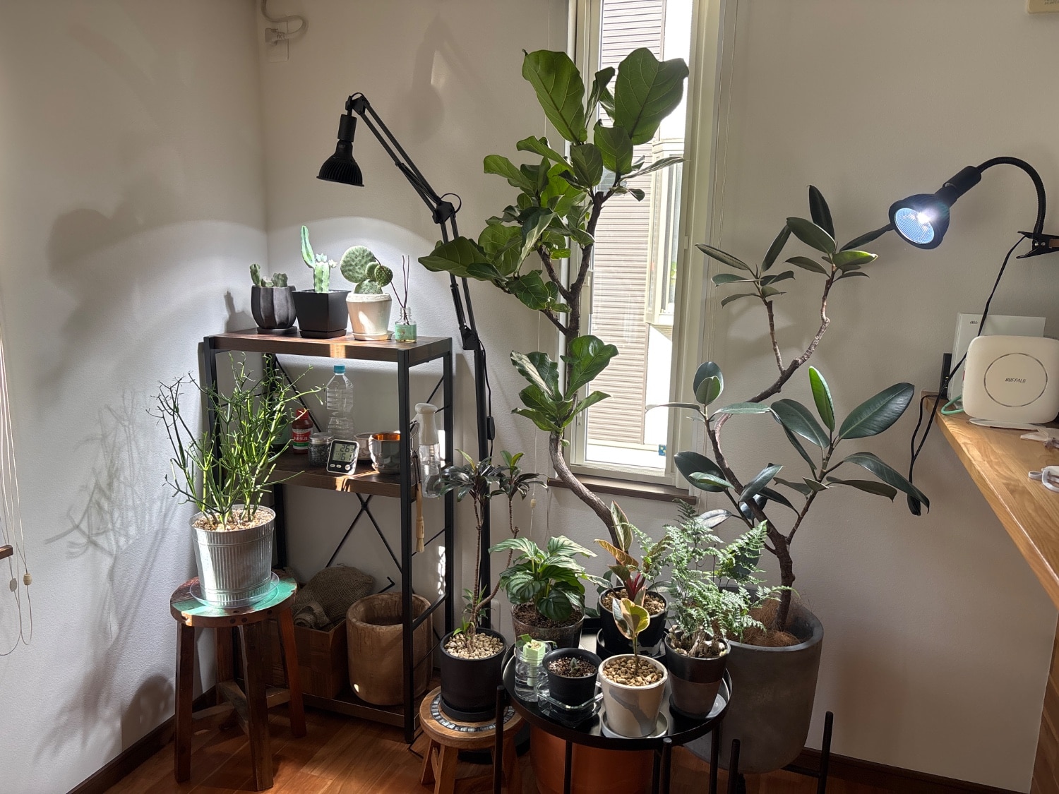 楽天市場】HaruDesign 植物育成ライト HASU38 spec9 6K 白色系