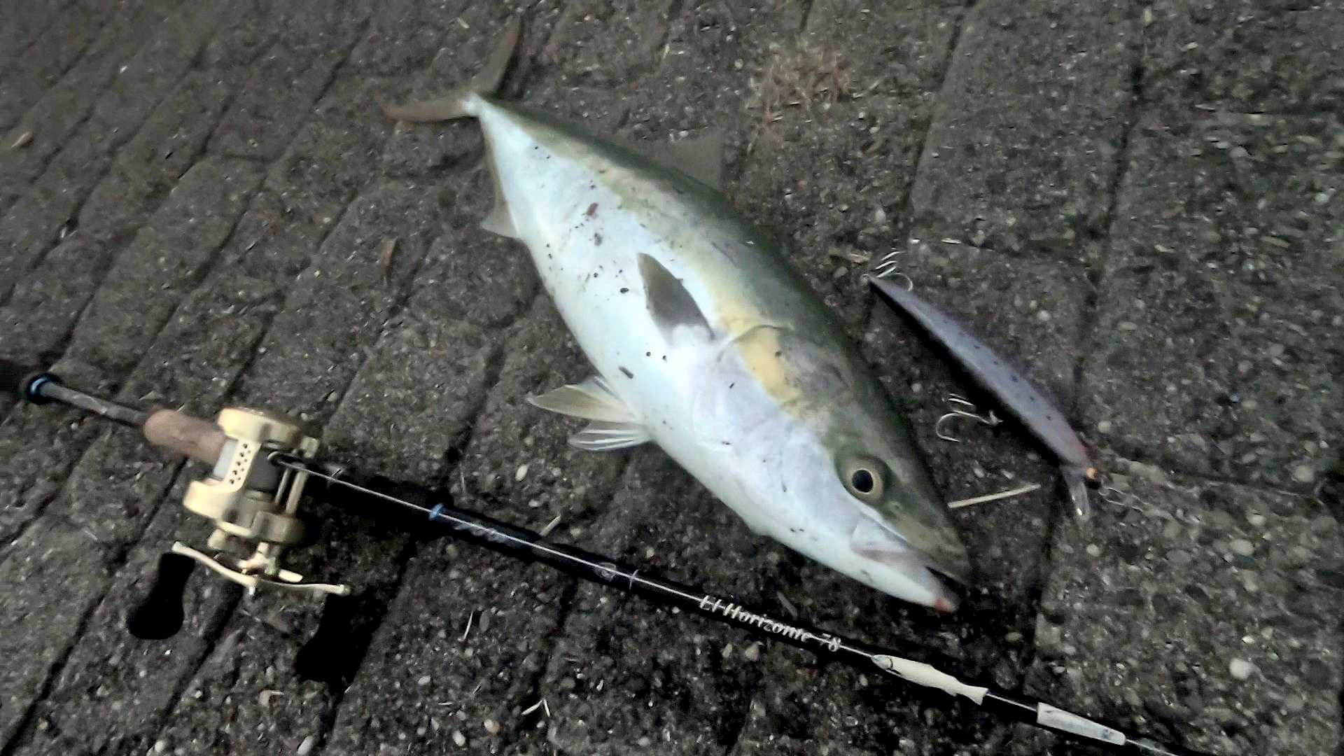 シマノ【ムーンショット】買ってみたよ | らすたひたすら - 楽天ブログ