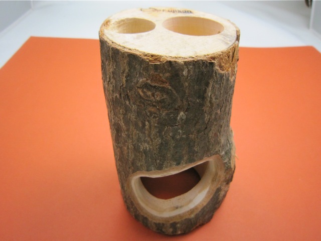 自然な木目の丸太 樹洞 丸洞 桐老木 昆虫飼育箱 自然な木目の丸太 樹洞