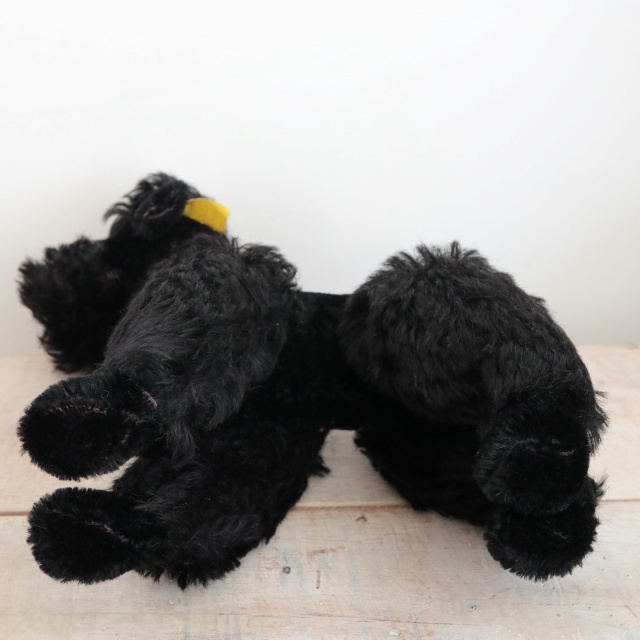 アンティーク シュタイフ プードル ブラック Steiff Snobby 22cm
