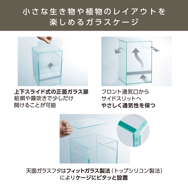 GEX レプテリア クリアネオフィット 180 アクアテイラーズ オンライン