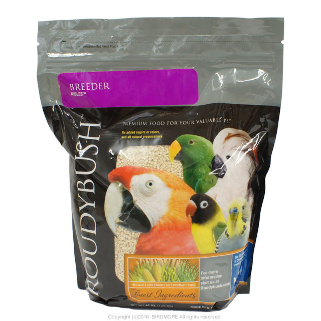 9997120【北海道産】殻付き松の実 30g 鳥専門店 BIRD MORE