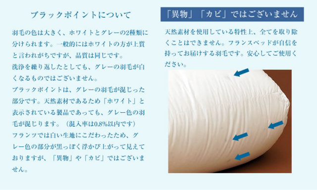 フランスベッド JOORYU 静岡工場 羽毛布団 シングル オールシーズン 2