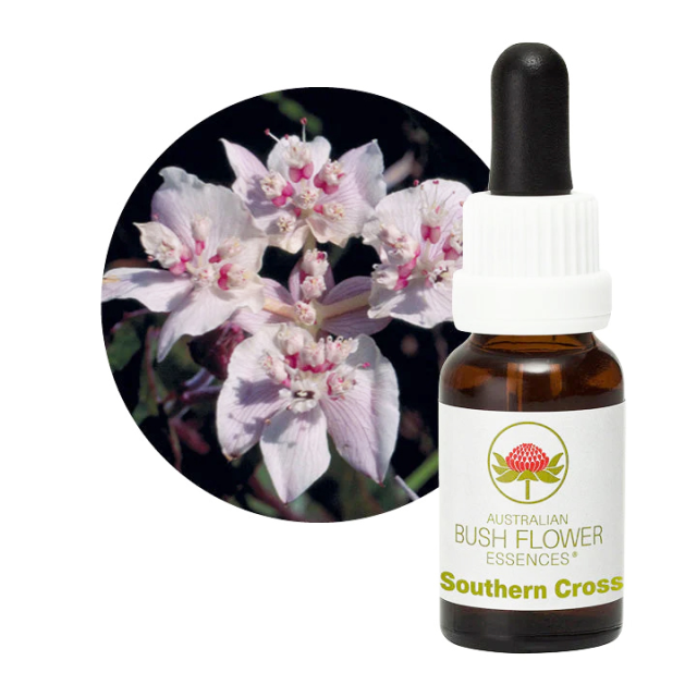 マクロカーパ オーストラリアンブッシュフラワー シングル 世界の