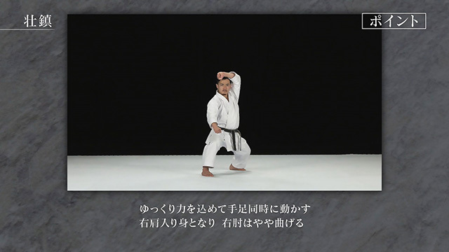 松涛館流空手道形教範全集「得意形2」 Vol.2 壮鎮・雲手 (DVD)