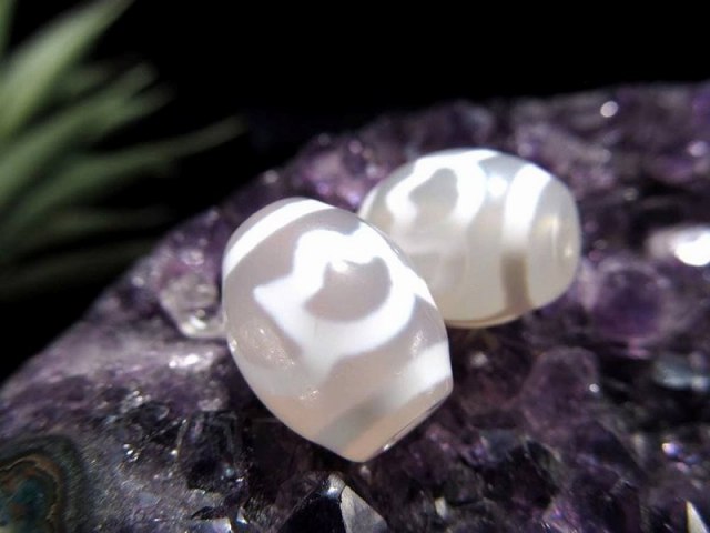 純真ホワイトカラー 水蓮花天珠 すいれんかてんじゅ 縦サイズ:約15mm