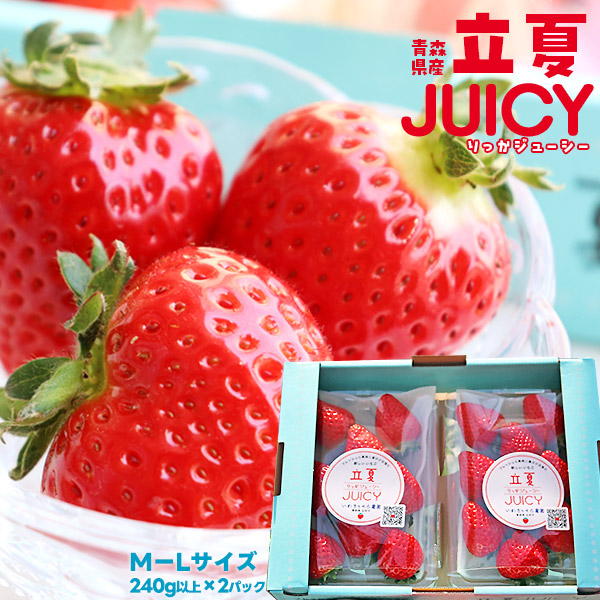 朝採り 完熟 いちご 【青森県産いちご 立夏JUICY 240g以上×2パック
