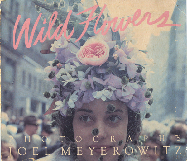 古書古本 dessin：Joel Meyerowitz: Wild Flowers（ジョエル・マイヤー