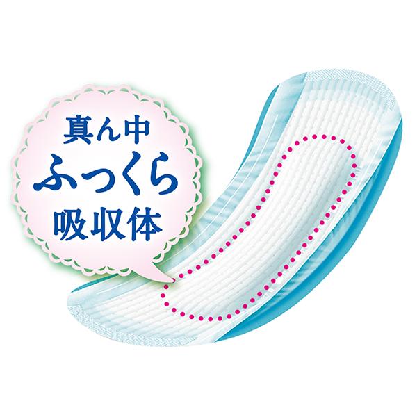 ライフリ－さわやかパッド快適の中量用 45cc 22枚