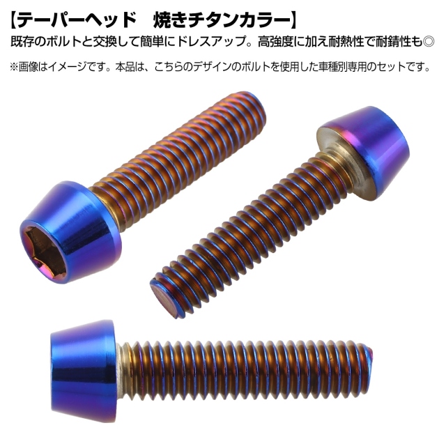 エンジンカバー ボルトセット ニンジャ ZX-14R ZZR1400 29本セット