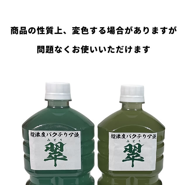 Dorcus Academy] 超濃度バクテリア液【翠】