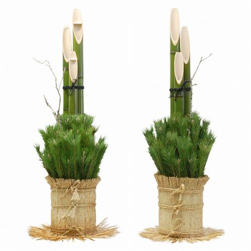 日本の門松 関東150cm｜販売・通販 全国発送【大きい観葉植物専門店