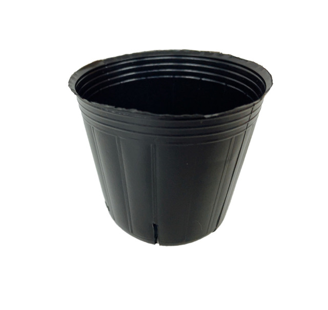 TOスリットポット 6cm 100個 黒 スリット4入り 東海化成 TSP-60 多肉植物