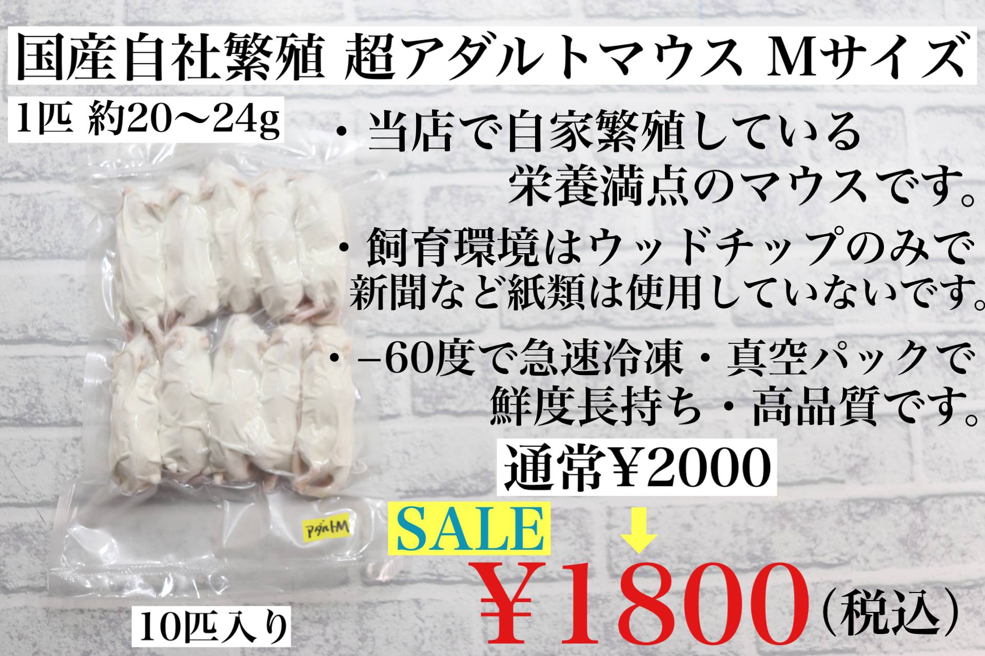 冷凍国産アダルトマウスMサイズ 10匹入り