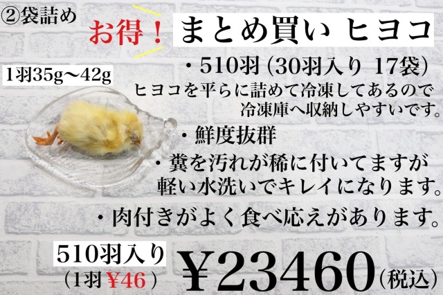 冷凍国産 新鮮なヒヨコ 250羽、300羽、350羽、400羽、510羽