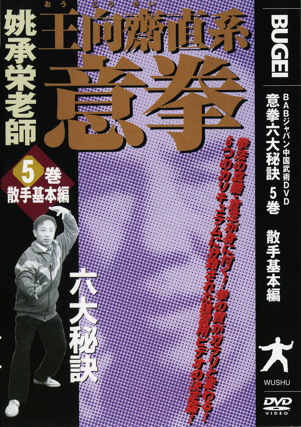 DVD6巻セット 『王向齋直系 意拳 六大秘訣』（通販限定）