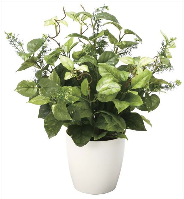 光触媒 光の楽園 ミックスポトス 【インテリアグリーン 人工観葉植物