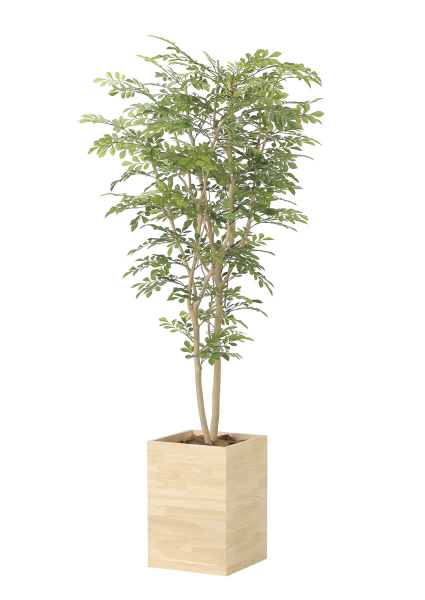 光触媒 人工観葉植物 ウォールグリーン フェイクグリーン 胡蝶蘭8本y