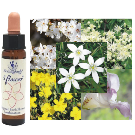 ファイブフラワーレメディ Five Flower Remedy/ヒーリングハーブス