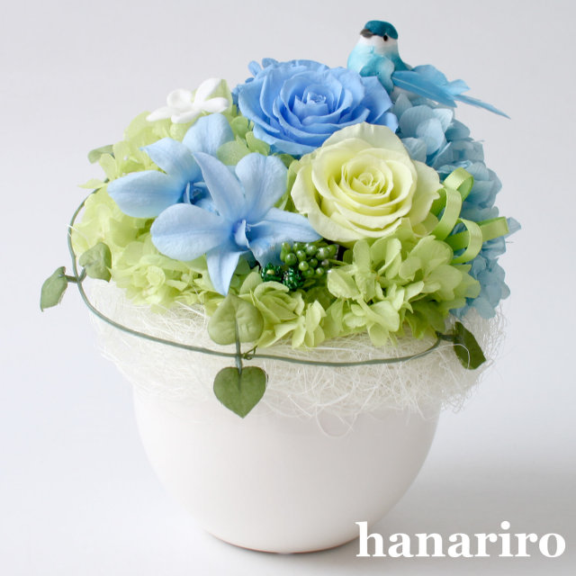 しあわせの青い鳥（ブルーL）/プリザーブドフラワー プリザーブド