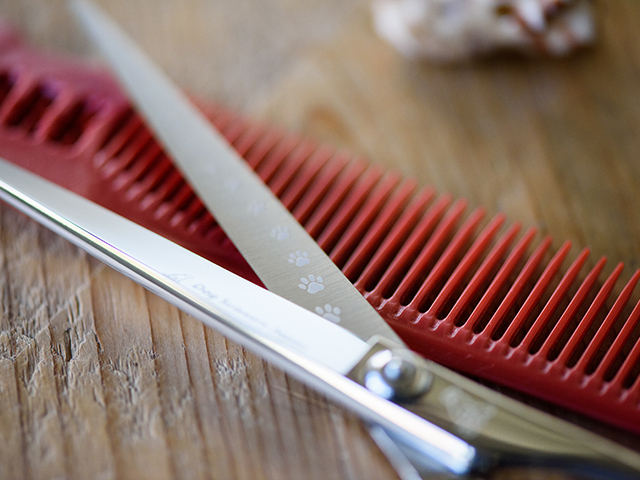 ドッグ シザーズ ジャパン ソラ(Sora)平刃ストレートシザー（straight