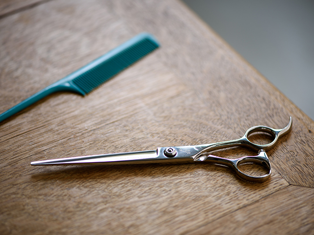 ドッグ シザーズ ジャパン シザー 一覧まとめ