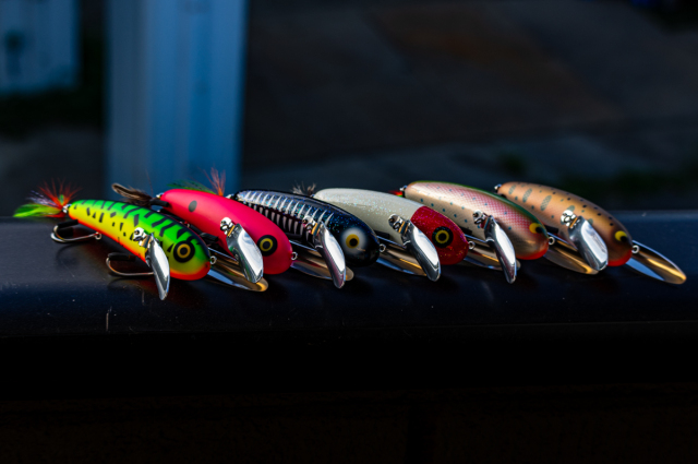 タマタマルアー『Slowly-HP』