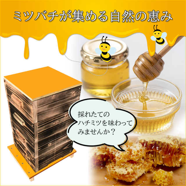 日本蜜蜂 巣箱 二ホンミツバチ 日本みつばち 重箱式巣箱 4段 送料無料