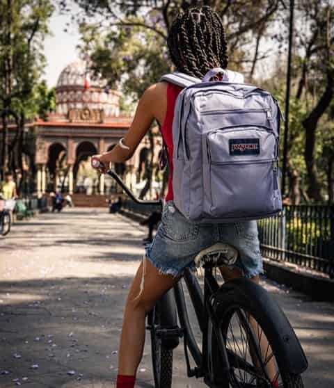 BIG STUDENT（ビッグステューデント）LAVENDER ASH (紫) |【公式通販