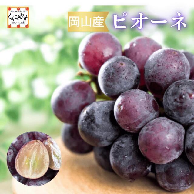 晴れの国・岡山県で育った、甘みたっぷりの黒ぶどう「ピオーネ」